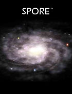 Spore