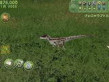 JURASSIC PARK OPERATION GENESISܸ 饷åѡĤ