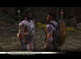 Dragon Age: Origins