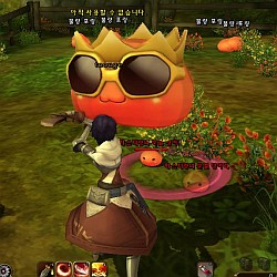 #040Υͥ/RAGNAROK Online 2פ勞勞ץƥѸڹ2CBTǡ3DեåǺƸ줿ROιƤߤ