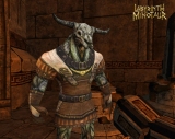 Dark Age of Camelot: Labyrinth of the Minotaur