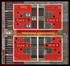 #010Υͥ/Quad-Core Opteronפγפ褿٤Phenomפ¬