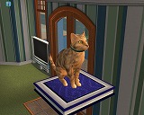 The Sims Pet StoriesMacintosh