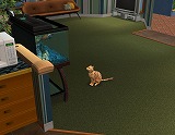 The Sims Pet StoriesMacintosh