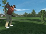 #005Υͥ/åե㡼եTiger Woods PGA TOUR 08פΥǥǤǺ