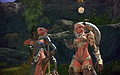 TERA :The Exiled Realm of Arborea