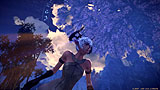 TERA :The Exiled Realm of Arborea