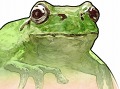 饹ۥåѡޥ˥ե奢iPhoneѥFROG MINUTESפȯ档ܺμפҼԤؤεȤƴ