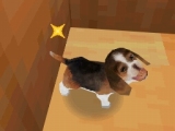 奢륷꡼2980 Petz Dogz ɥå