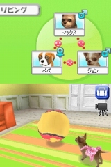 奢륷꡼2980 Petz Dogz ɥå