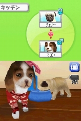 奢륷꡼2980 Petz Dogz ɥå