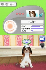 奢륷꡼2980 Petz Dogz ɥå