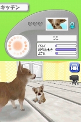 奢륷꡼2980 Petz Dogz ɥå