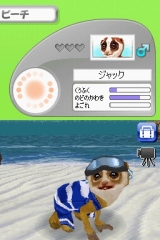 奢륷꡼2980 Petz Monkeyz 󥭡