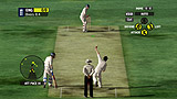 Ashes Cricket 2009