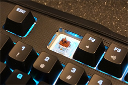 CES 2016ROCCATե륫顼LEDܤΥᥫ˥륭ܡɡRyos MK FXפȽ210gΥץ󥨥إåɥåȡRengaפϪ