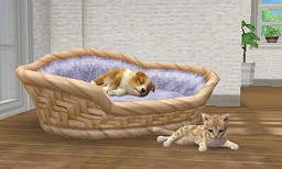 #002Υͥ/ǤŷƲॽեȤκǿȯ䥹塼nintendogs + cats3ȥ뤬226Ʊȯ֥ƥСפ317˥꡼