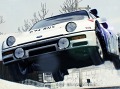 DiRT 3סϿƤޥ/졼ƥ꡼ξܺ٤ˡեåʬץࡼӡǺ