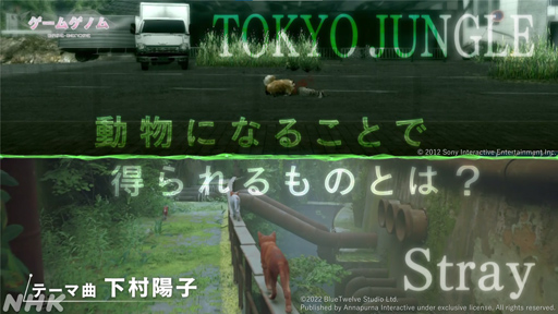 NHK֥ॲΥ10TOKYO JUNGLE/Stray׻İݡȡޡ򤵤äۿ˥ޥ륲˶̤ΤȤ