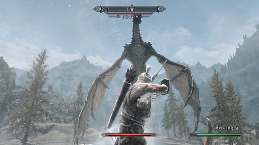 The Elder Scrolls V: SkyrimפΥӥ塼ǺܡꤳܤΥϥե󥿥ʤ顤鿴Ԥؤͥ˺ʤѤʤ̿RPG