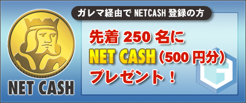 #002Υͥ/֥ޡNET CASHåȤ250̾NET CASHץ쥼