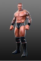 #007Υͥ/WWE All StarsפPS32011ǯ7ܤȯ䡣Ķ30̾Υѡ쥸ɤо