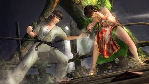 DEAD OR ALIVE 5פ˥ȥ餬Ȼ魯뤳ȤˤʤäåȤϡ ƥ⡦SEGAȯؤؤΥ󥿥ӥ塼Ǻ