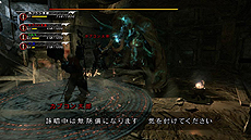 Dragon's Dogma: Dark ArisenפΥڥѥå828ȯ䡣ɶѥḁ̊ƥDLɡŵDVDƱ