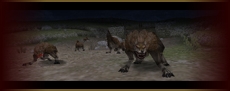 ޡȥեMMORPGThe Ring of the DragonסGoogle PlayۿϡϤߡס֥ޥƥפʤɡΥƥबħ