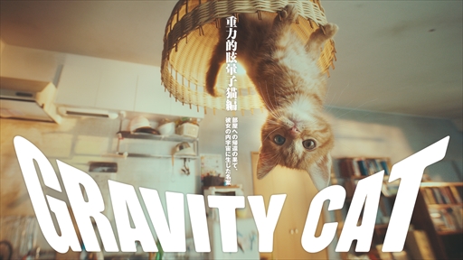  No.001Υͥ / GRAVITY DAZE 2סƣڤѤPVGRAVITY CAT / ŪǭԡפGRAVITY DAZEפѤ¼̥ࡼӡ