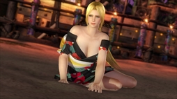  No.022Υͥ / DEAD OR ALIVE 5 Last Roundס֥ϥåԡᥳ塼פۿ򳫻