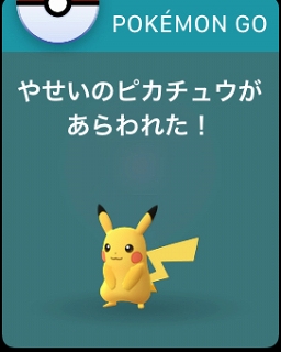  No.019Υͥ / ͷӹץ쥤䡼ۤɤۤʤApple WatchǡPok&#00233;mon GOסPok&#00233;mon GO PlusȵǽӤʤ٥ȤʻȤάƤߤ