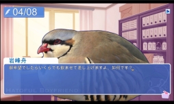 Hatoful Boyfriend