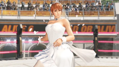 EVO JapanϡDEAD OR ALIVE 6פˡβ ɤλ郎ꡣ24餬ѤǤθۿ