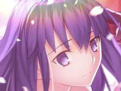 ֿ -󤿤-סǡFate/stay night [Heaven\'s Feel]פȤΥܤꡣ³ϸX䥲ΤΤ餻ȯɽͽ