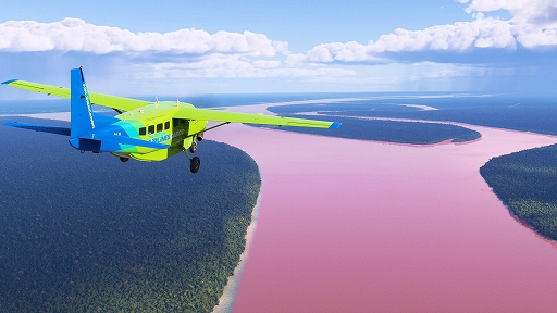  No.005Υͥ / Microsoft Flight SimulatorסƤΦѤȾʬϰ̩ǿɥåץǡȤ꡼