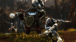 SwitchǡKingdoms of Amalur: Re-Reckoningפȯ䡣ǰ줿ι륪ץRPG