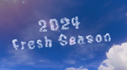 ֥ץȥ3ס2024 Fresh Seasonפα֥24ĥػáפξܺ٤餫