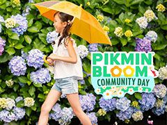 Pikmin Bloomס625Υߥ˥ƥǥ˥ꥢ륤٥ȤܳǳšդΥܡʥԸŵȯɽ