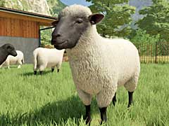 Farming Simulator 22פκǿȥ쥤顼ȥޥȤݤǤ벹˲ä˪ǽ