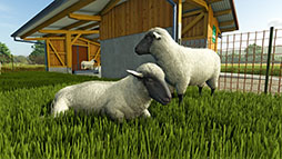  No.004Υͥ / Farming Simulator 25סʪ֤ơס֥ɥޥפΥȥ쥤顼ƤĹγƤûγƤ2ݤǤ