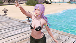  No.011Υͥ / Venus Vacation PRISM - DEAD OR ALIVE Xtreme -סȯ36327ѹ