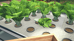 Hydroponics Farm & Store Simulator