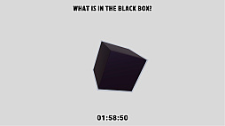 What is in the Black Box?