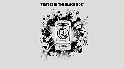 What is in the Black Box?