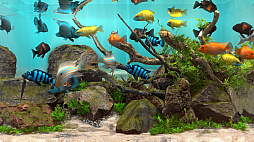 Behind Glass: Aquarium Simulator