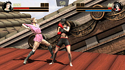 Kung Fu Duel